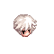 Satoru Fusto