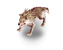 1106.png