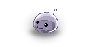 1242.png