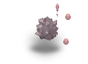 20263.png