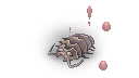 20270.png