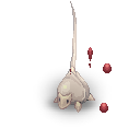 20532.png