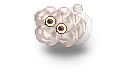 20593.png