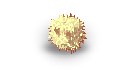 20625.png
