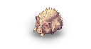 21552.png