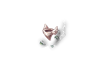 22220.png