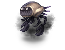 22255.png