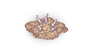 22317.png