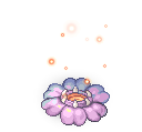 22448.png