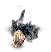 22453.png