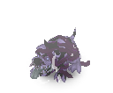 2355.png
