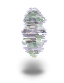 3253.png