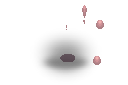 3795.png